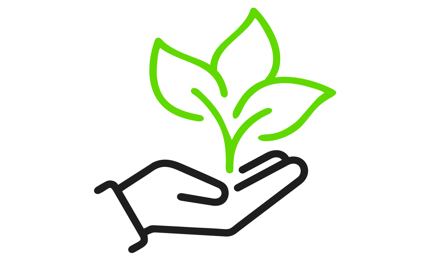 Pflanzenproduktion
